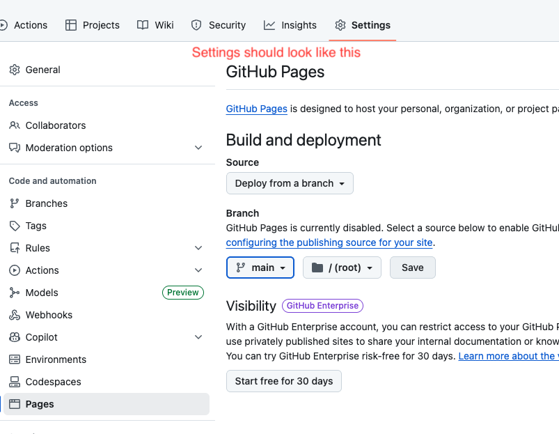 Screenshot showing the github pages setup